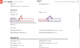 sample software defects found by software testers