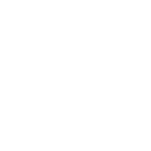 Press Boston Globe White