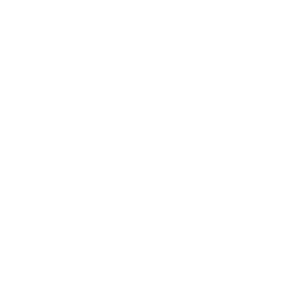 Press city of boston white